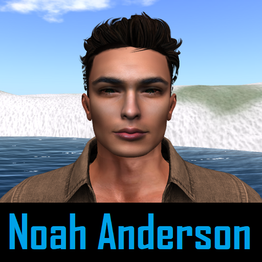 Alife Virtual Manager Noah Anderson