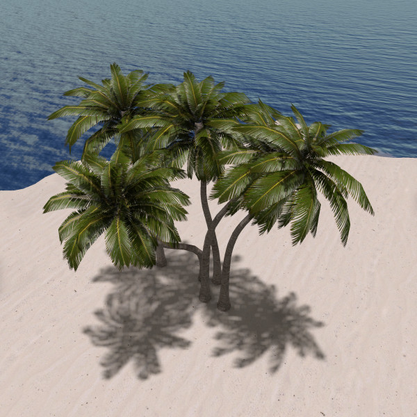 PCS_056_PALM TREES