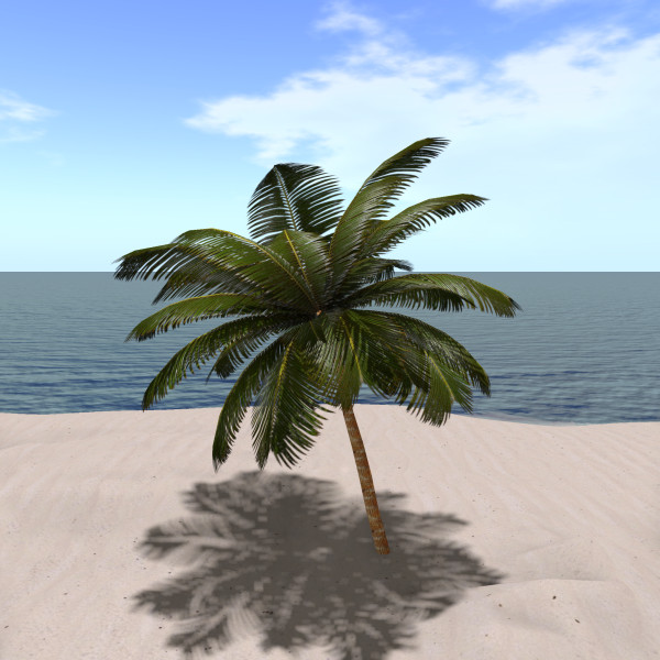 PCS_057_PALM