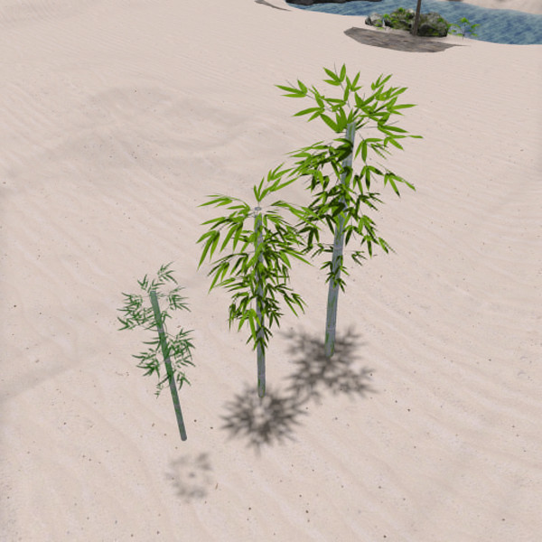PCS_053_BAMBOO SET PLANT