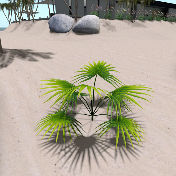 PCS_060_TROPICAL FOLIAGE