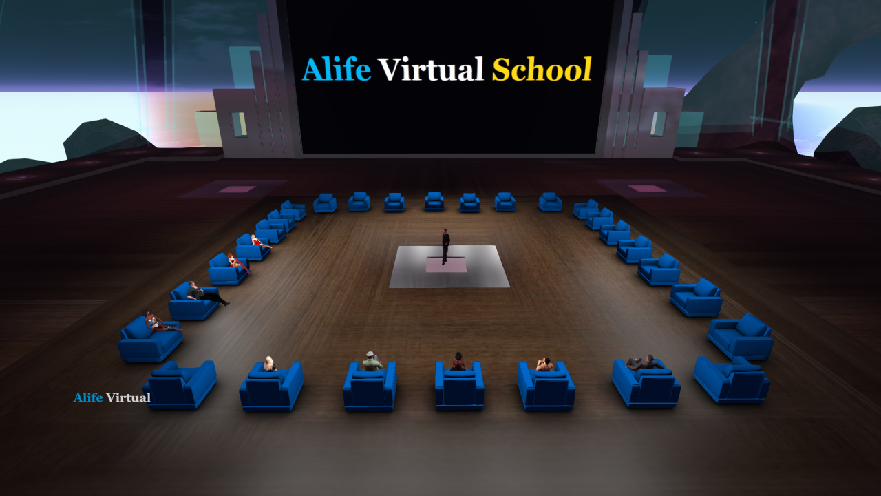 Adult Virtual World Experience