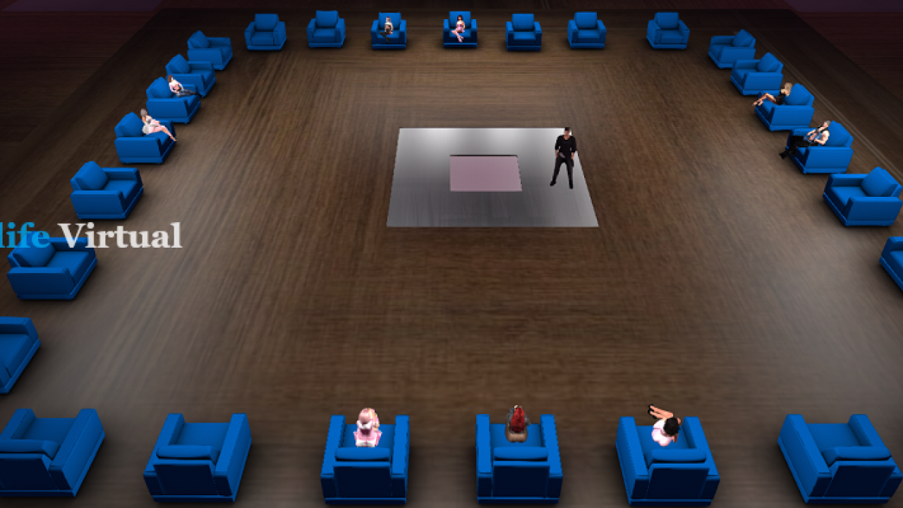 Adult Virtual World Experience