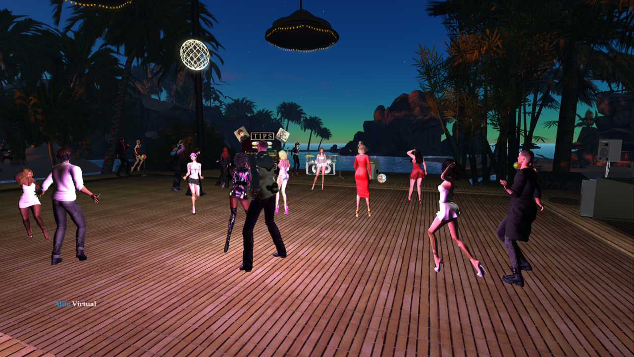 Virtual Life Online with Avatars