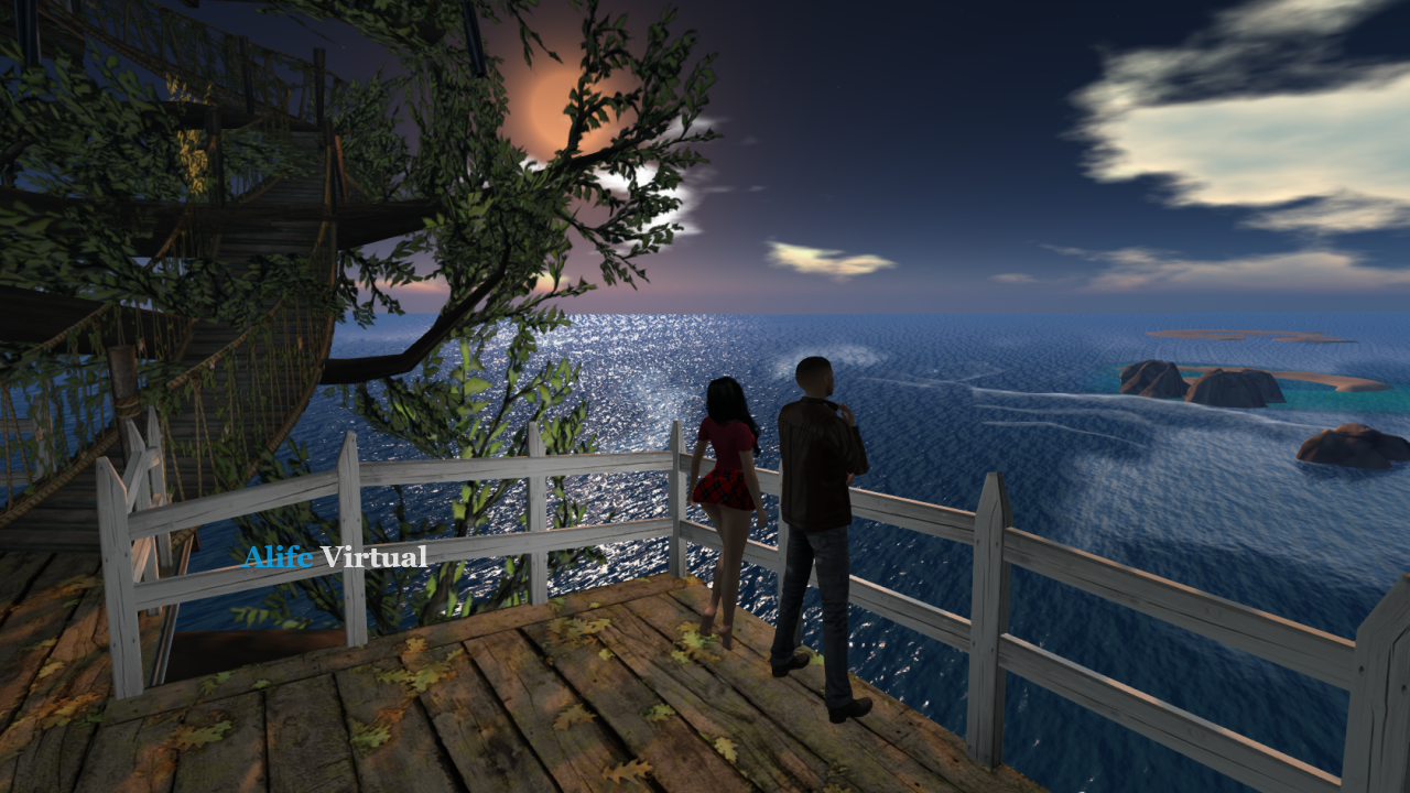 The Dubois Legacy: Cove 27