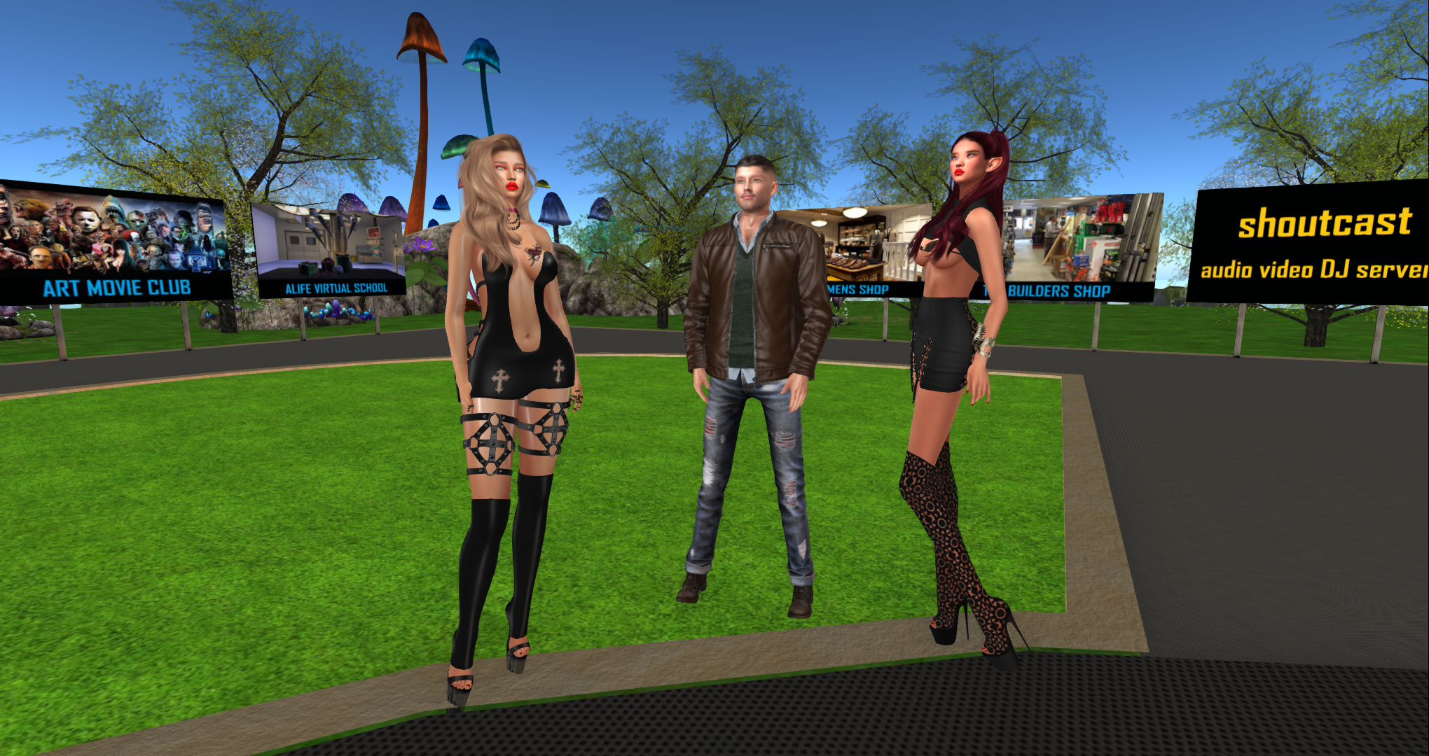 Alife Virtual Experience