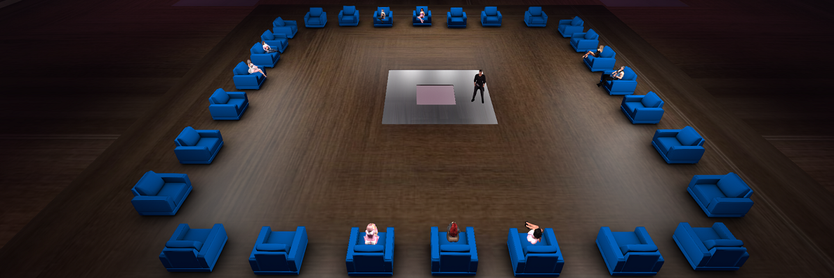 Adult Virtual World Experience