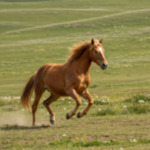 alife virtual metaverse 3d avatars s pic id 266169