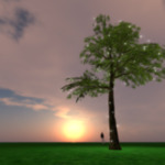 alife virtual world metaverse 3d avatars s pic id 561038