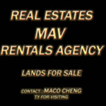 alife virtual metaverse 3d avatars s pic id 298422